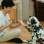 Basic Dog Training for Beginners