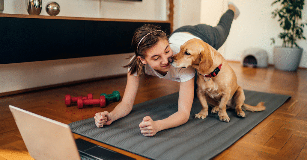 Best Dog Training Tutorials Online