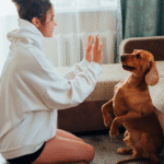 Dog Obedience Training at Home