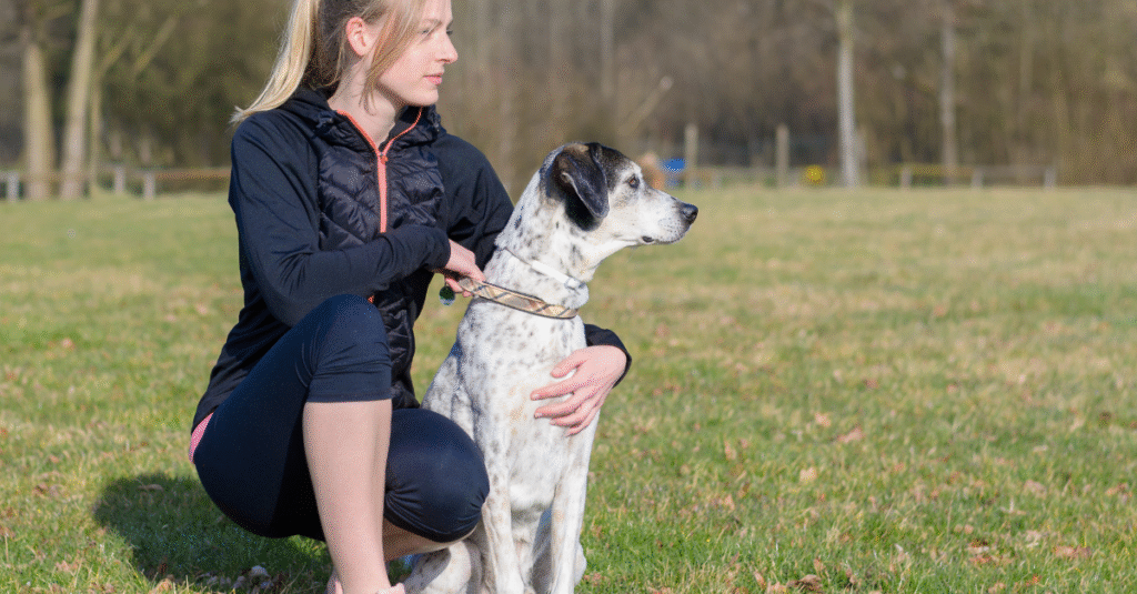 Tips for Teaching Dogs Basic Commands