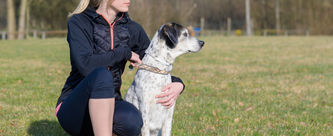 Tips for Teaching Dogs Basic Commands: A Kiwi Guide to Training Your Best Mate