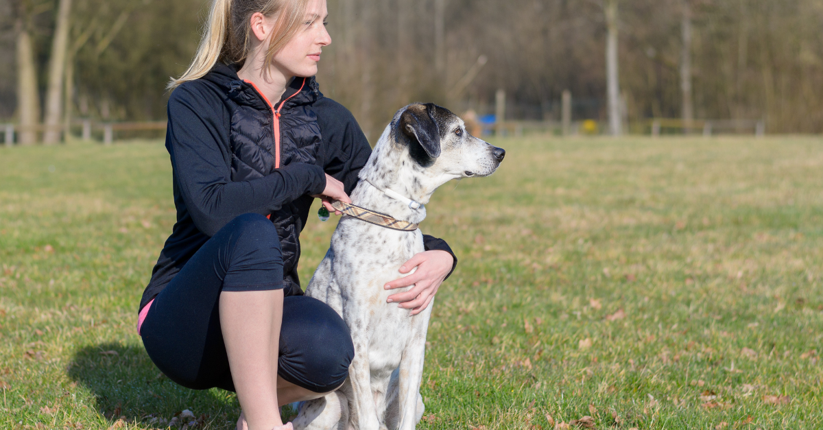 Tips for Teaching Dogs Basic Commands